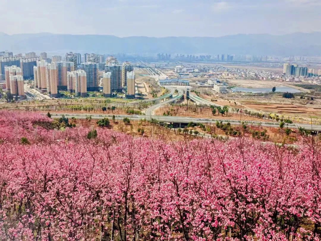 【保山安利醫(yī)院】春光明媚，小心“癢癢”病