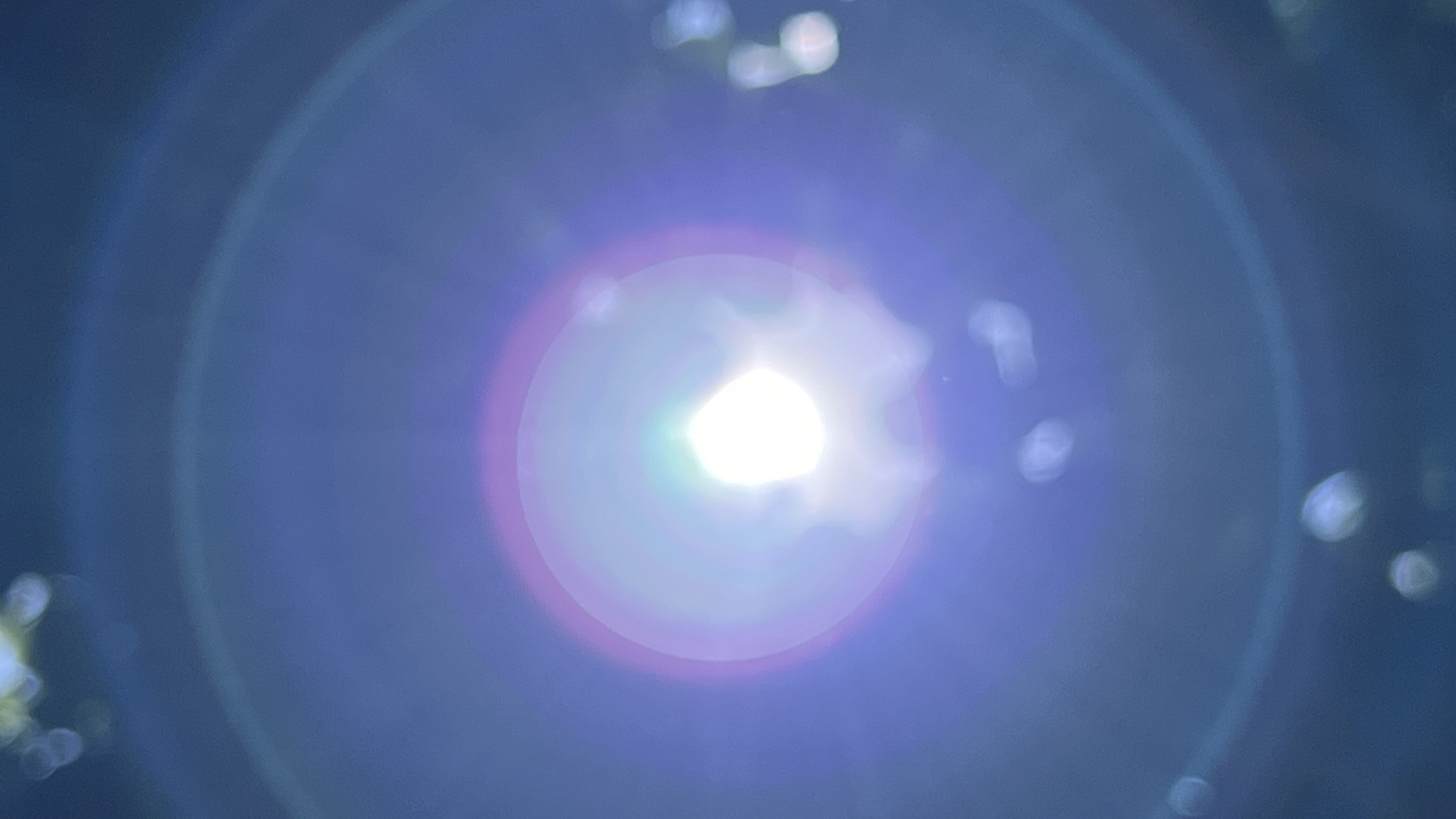 【保山安利醫(yī)院】云南省殘疾人康復協(xié)會、云南省康復醫(yī)學會調(diào)研組蒞臨我院參觀調(diào)研！